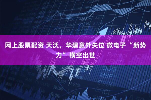 网上股票配资 天沃，华建意外失位 微电子 “新势力” 横空出世