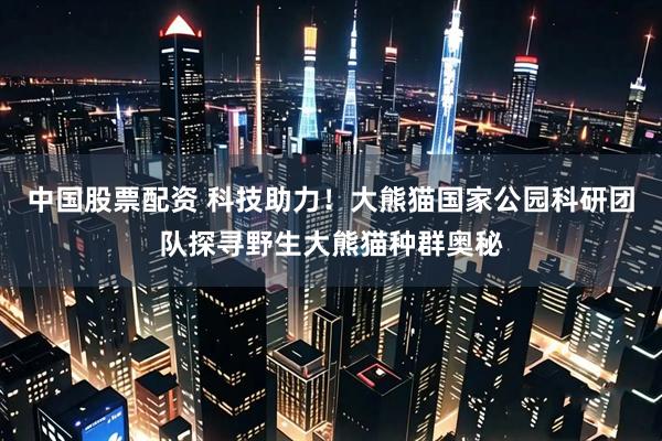 中国股票配资 科技助力！大熊猫国家公园科研团队探寻野生大熊猫种群奥秘