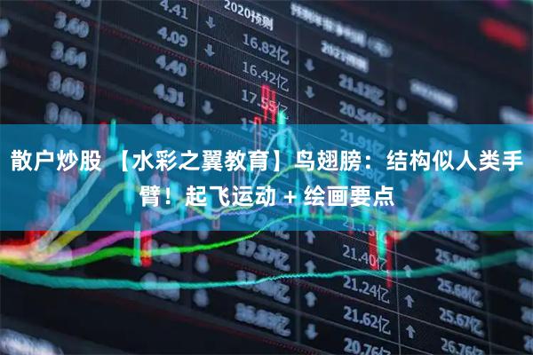 散户炒股 【水彩之翼教育】鸟翅膀：结构似人类手臂！起飞运动 + 绘画要点