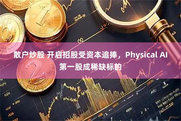 散户炒股 开启招股受资本追捧，Physical AI第一股成稀缺标的